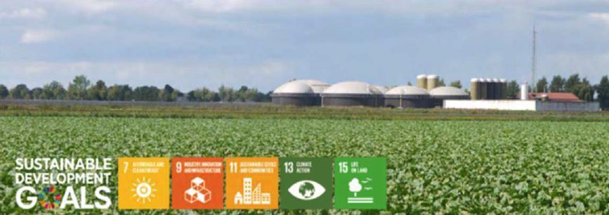 Sustainable development goals